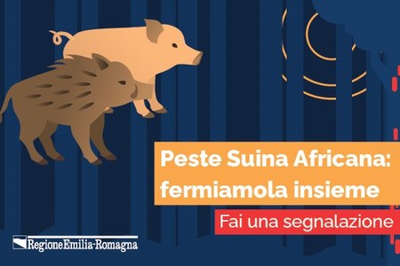 Peste Suina Africana