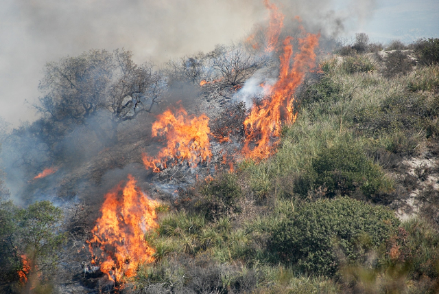 Attivazione della fase di attenzione per gli incendi boschivi su tutto il territorio Regionale estate 2025